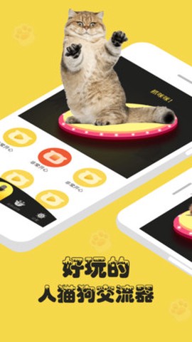 宠物猫狗交流[图1]