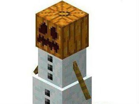 我的世界雪傀儡吃什么[图1]