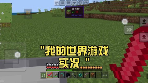 我的世界游戏怎么[图2]