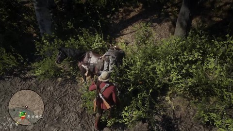 如何洗马荒野大镖客