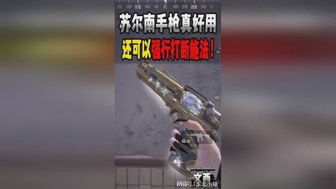 使命召唤什么手枪好用[图2]
