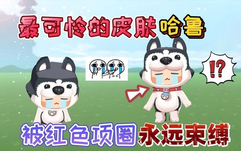 迷你世界狗怎么换项圈[图1]