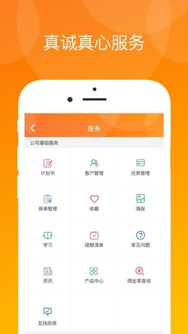 真保险图2