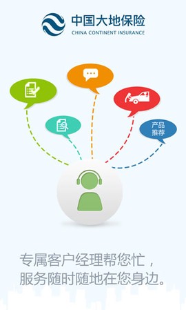 中国大地保险图1