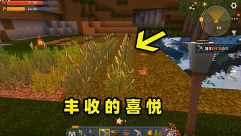 迷你世界怎么获得小麦