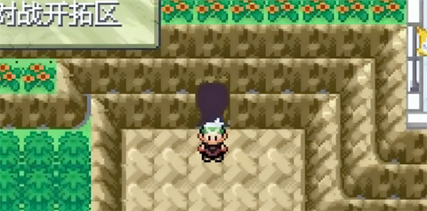 口袋妖怪：永恒之沫[图7]