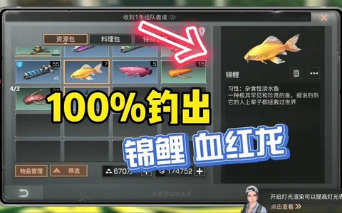 明日之后如何掉到锦鲤[图2]