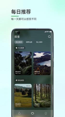 森林白噪音图1