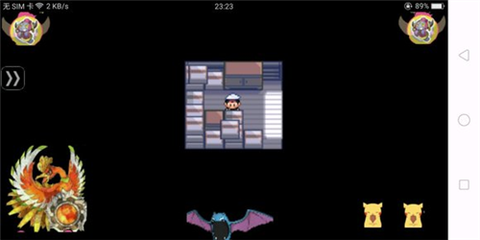 口袋妖怪：冰雪城[图4]