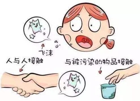宝可梦病毒怎么传染