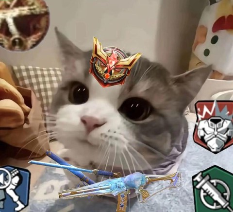 使命召唤怎么更改头像