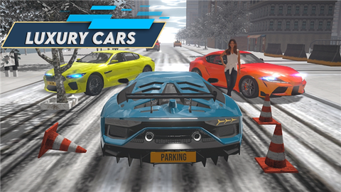 停车之王：驾驶城市[图1]