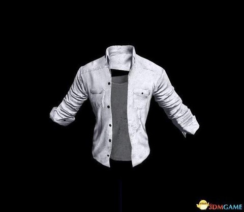 绝地求生花衬衫叫什么