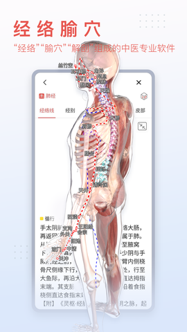 3dbody解剖app图2