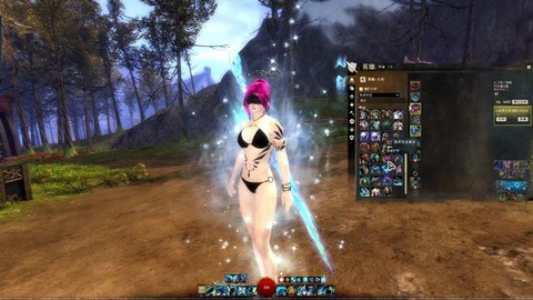 激战2什么职业华丽