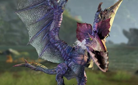 怪物猎人4怎么出黑狼鸟[图2]