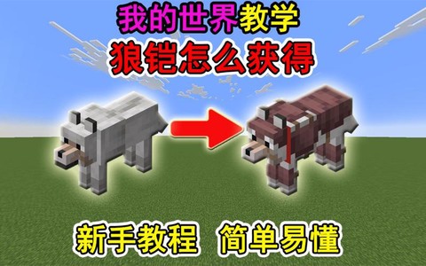我的世界怎么驯养狼