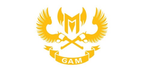 英雄联盟怎么显示队标[图1]