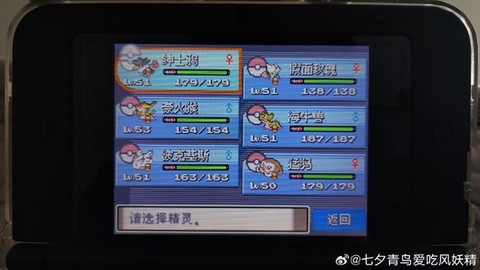 宝可梦如何查看等级