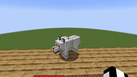 我的世界怎么让狗跟着[图1]