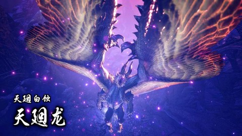 怪物猎人天廻龙弱什么