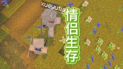 我的世界怎么交女朋友[图2]