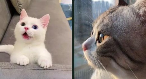 来玩壁纸秀[图1]