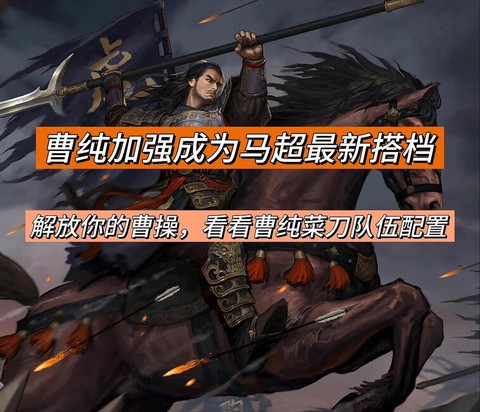 率土之滨菜刀什么意思