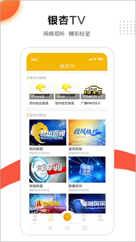 邳州银杏甲天下图3