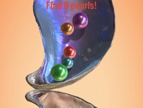 制作珍珠模拟器[图1]