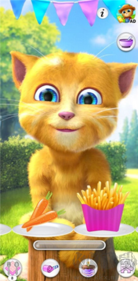 会说话的金杰猫[图2]