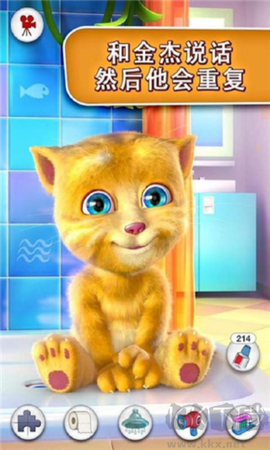 会说话的金杰猫[图3]