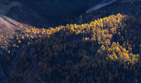 Knockout智能抠图P图[图1]