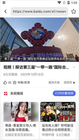 熊猫浏览器[图1]