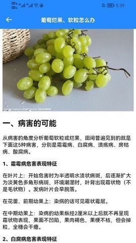 嗨老板开个店[图3]