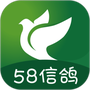 58信鸽