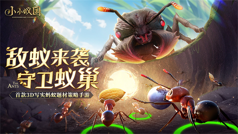 小小蚁国[图1]