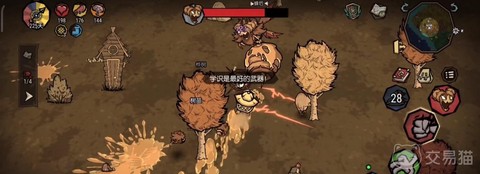 饥荒女王蜂怎么打[图2]