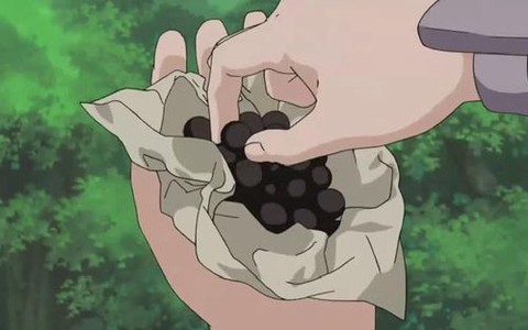 火影忍者兵粮丸怎么得[图1]