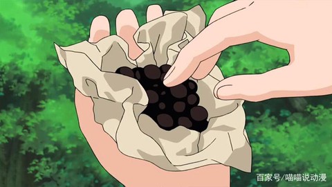 火影忍者兵粮丸怎么得[图2]