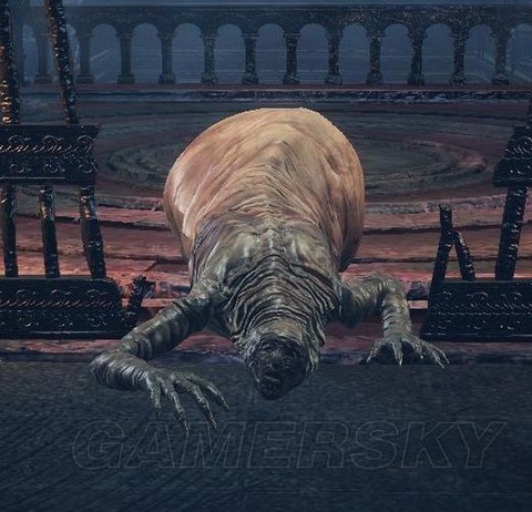 黑暗之魂3怎么变蛆人[图2]