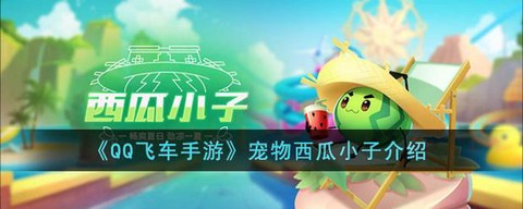 qq飞车买什么送西瓜[图1]