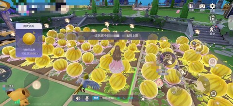 qq飞车买什么送西瓜[图2]