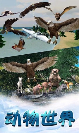 老鹰生存模拟器图3