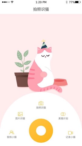云养猫[图1]