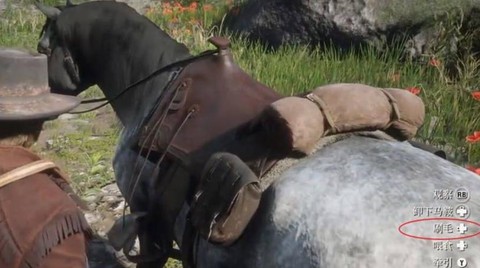 荒野大镖客怎么刷毛[图2]