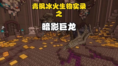 暗影巨龙杀了有什么用[图2]