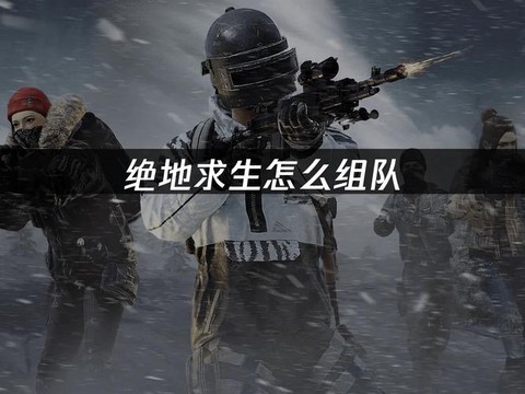 绝地求生怎么邀人组队