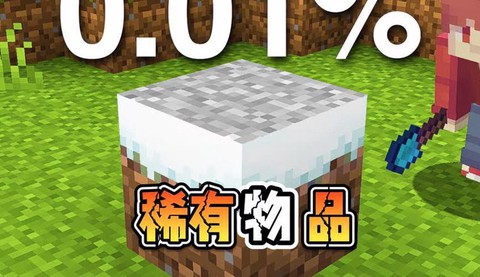 我的世界有什么东西