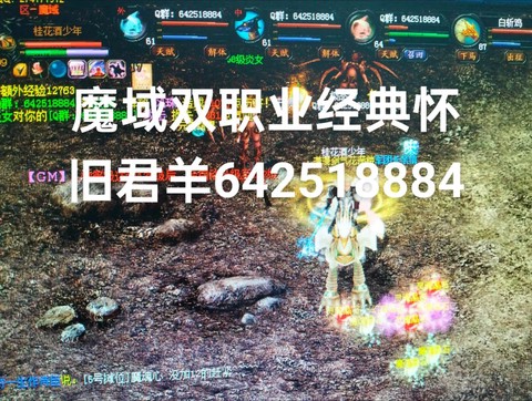 魔域怀旧版什么职业[图1]